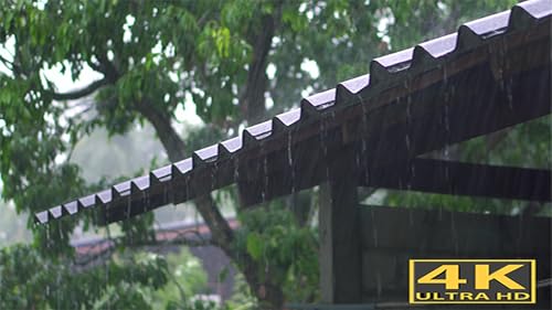 RAIN SCREENSAVER NO ADS