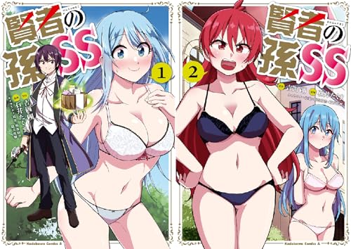 賢者の孫ss アニメ商品情報 アニメレーダー