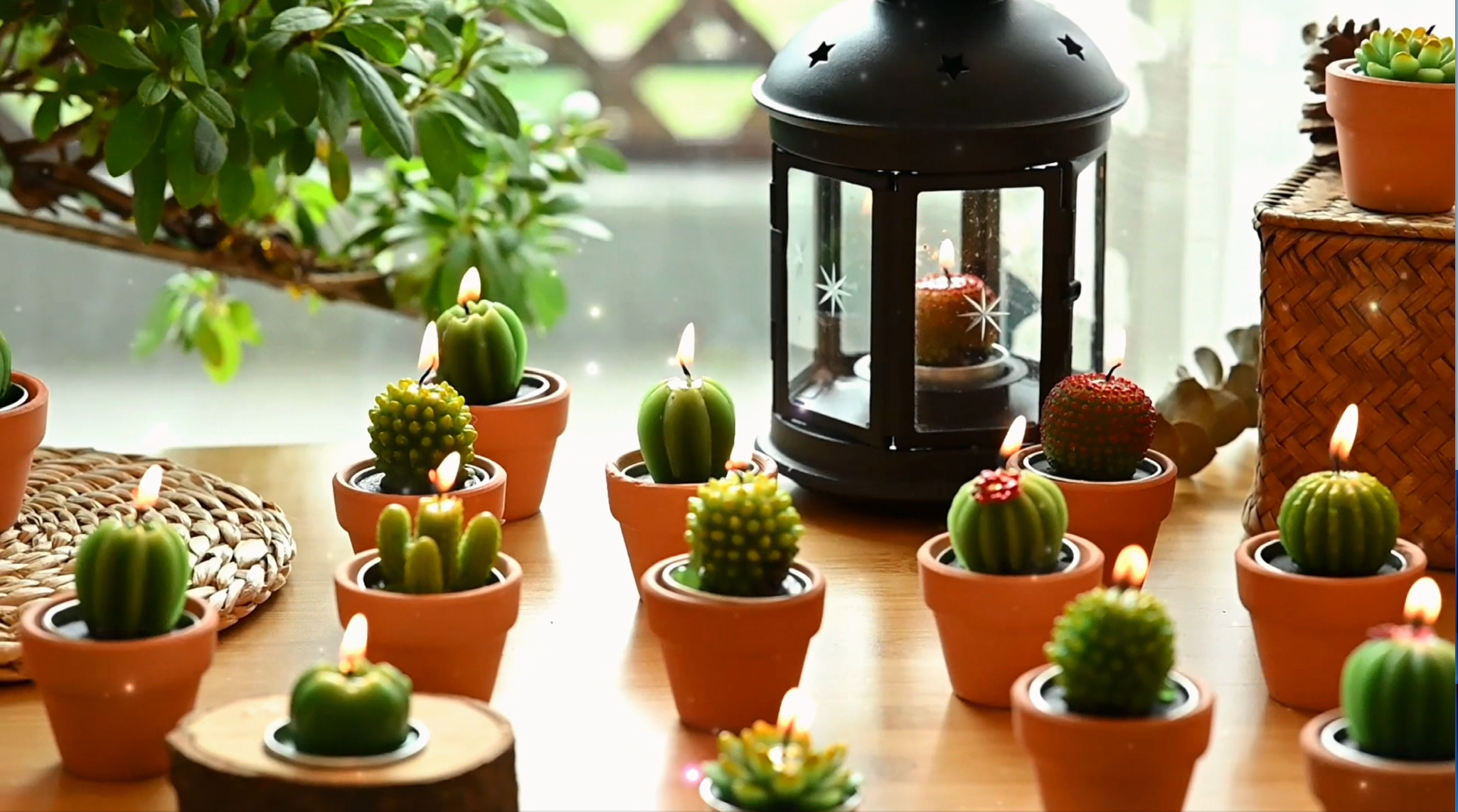MTLEE 48 Pcs Succulent Cactus Candles Set Mini Tealight Candles Baby Shower  Cactus Plant Decorations With Mini Terracotta Clay Gift Tags Organza Bags 
