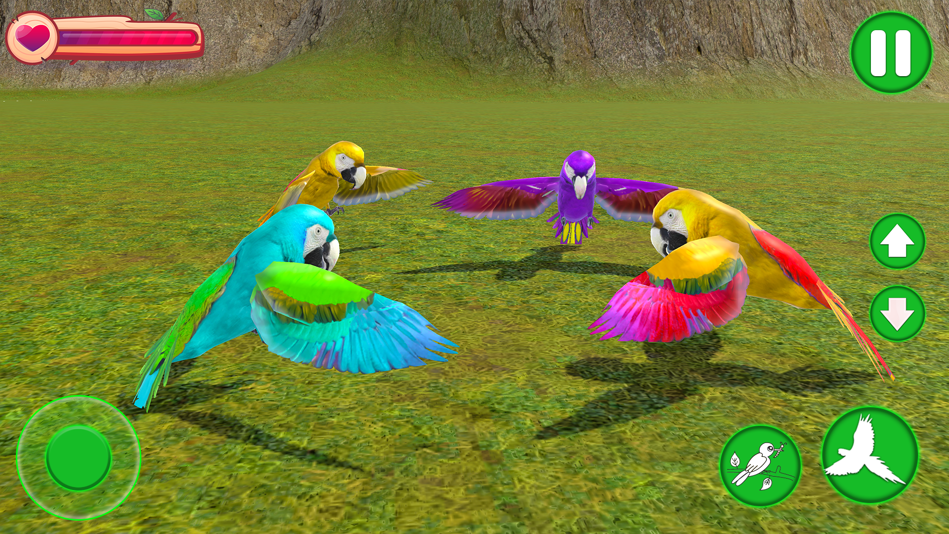 Parrot Bird Simulator Game - App on Amazon Appstore