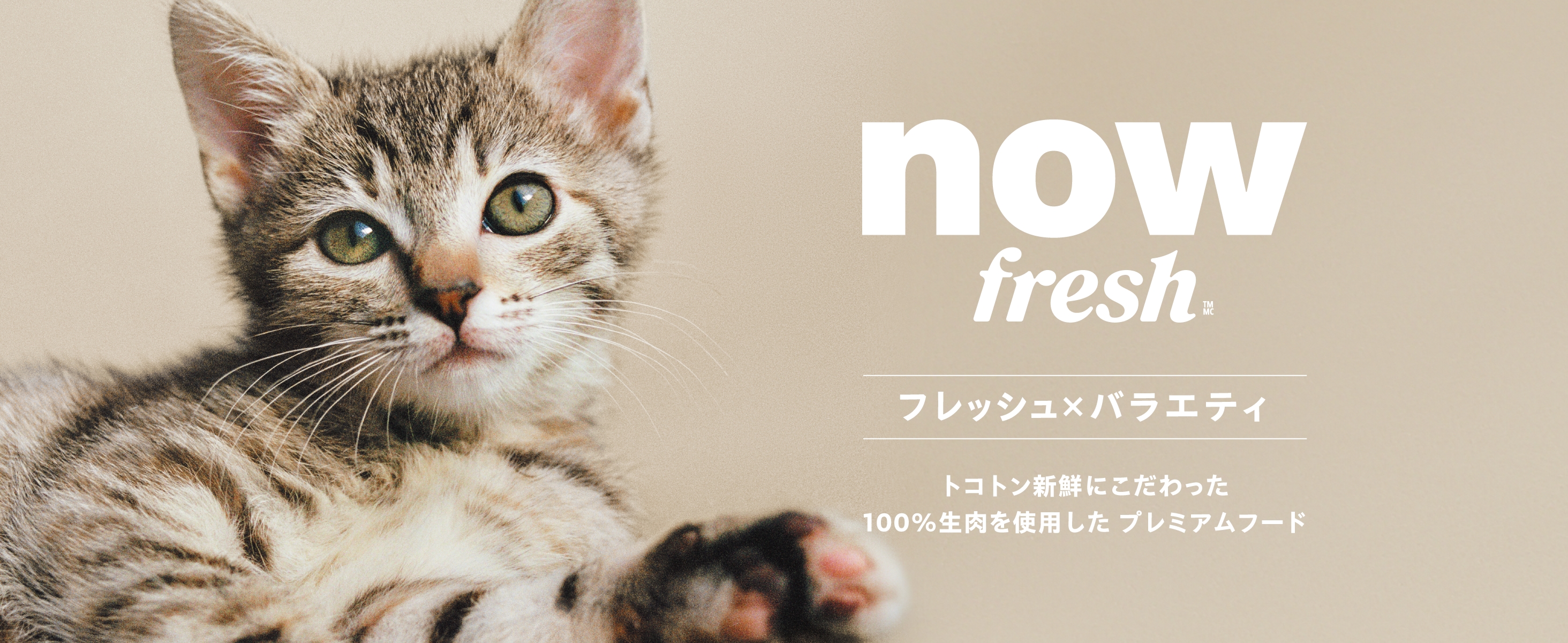 Amazon.co.jp: 【猫ちゃんにやさしい新鮮素材】ナウフレッシュ 成猫用