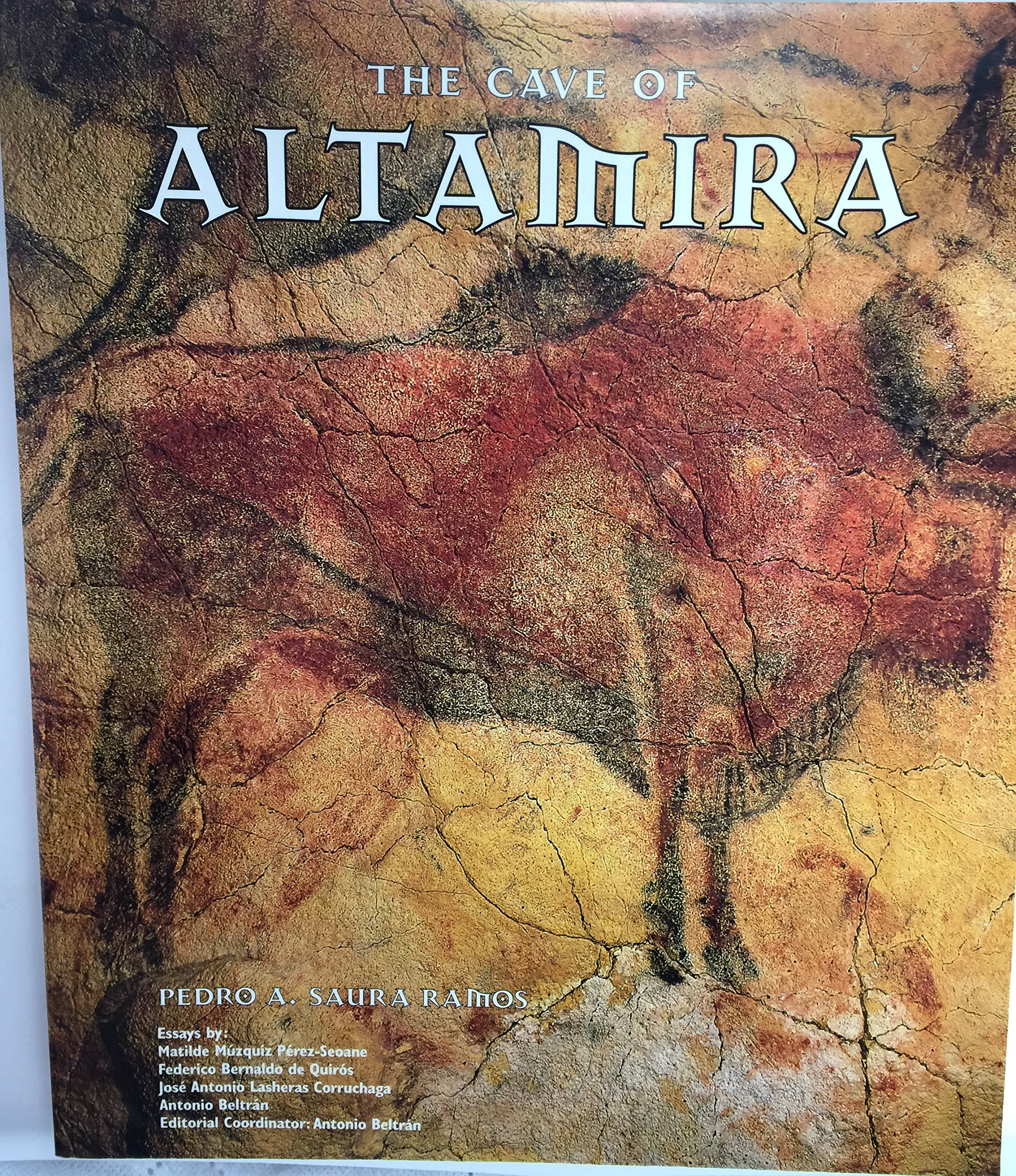The cave of Altamira