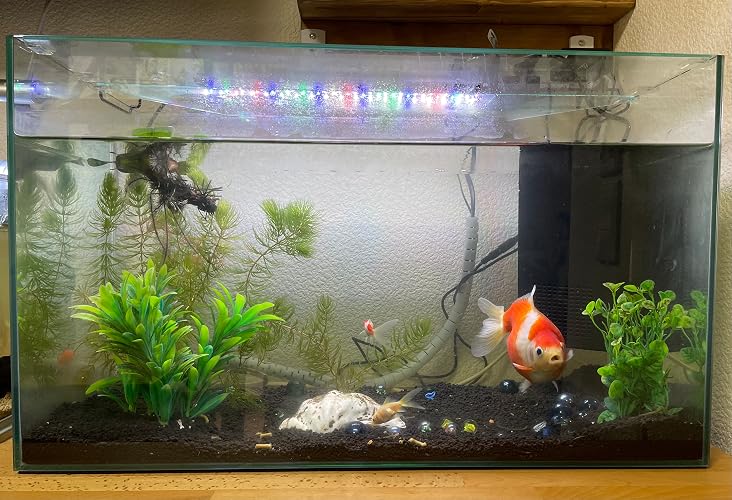 Amazon | ジェックス GEX AQUARIUM グラステリアサイレント600ST 静音 