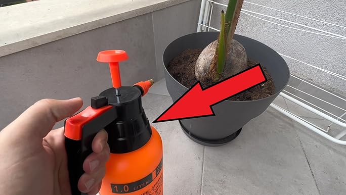 の Amazon.com : ANPTGHT Garden Pump Sprayer 0.5Gallon/68oz Hand