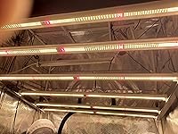 Review Image by Michael Lynch Michael Lynch