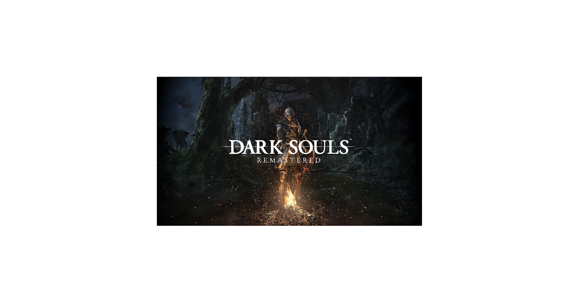 PC　DARK SOULS REMASTERED Dark Souls: Remastered - PC | GameStop