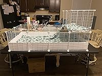 Review Image by KD KD