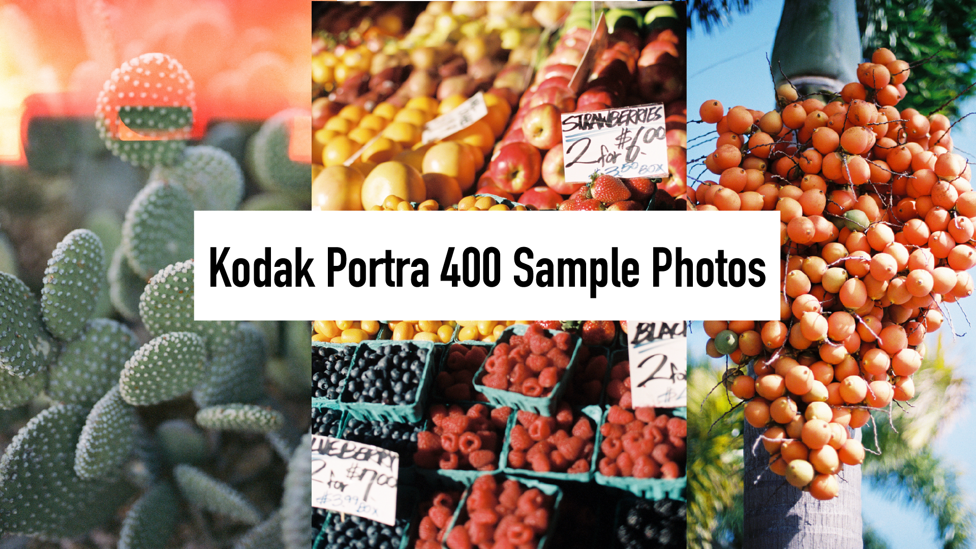 Camera and three rolls of KODAK Portra 400 film