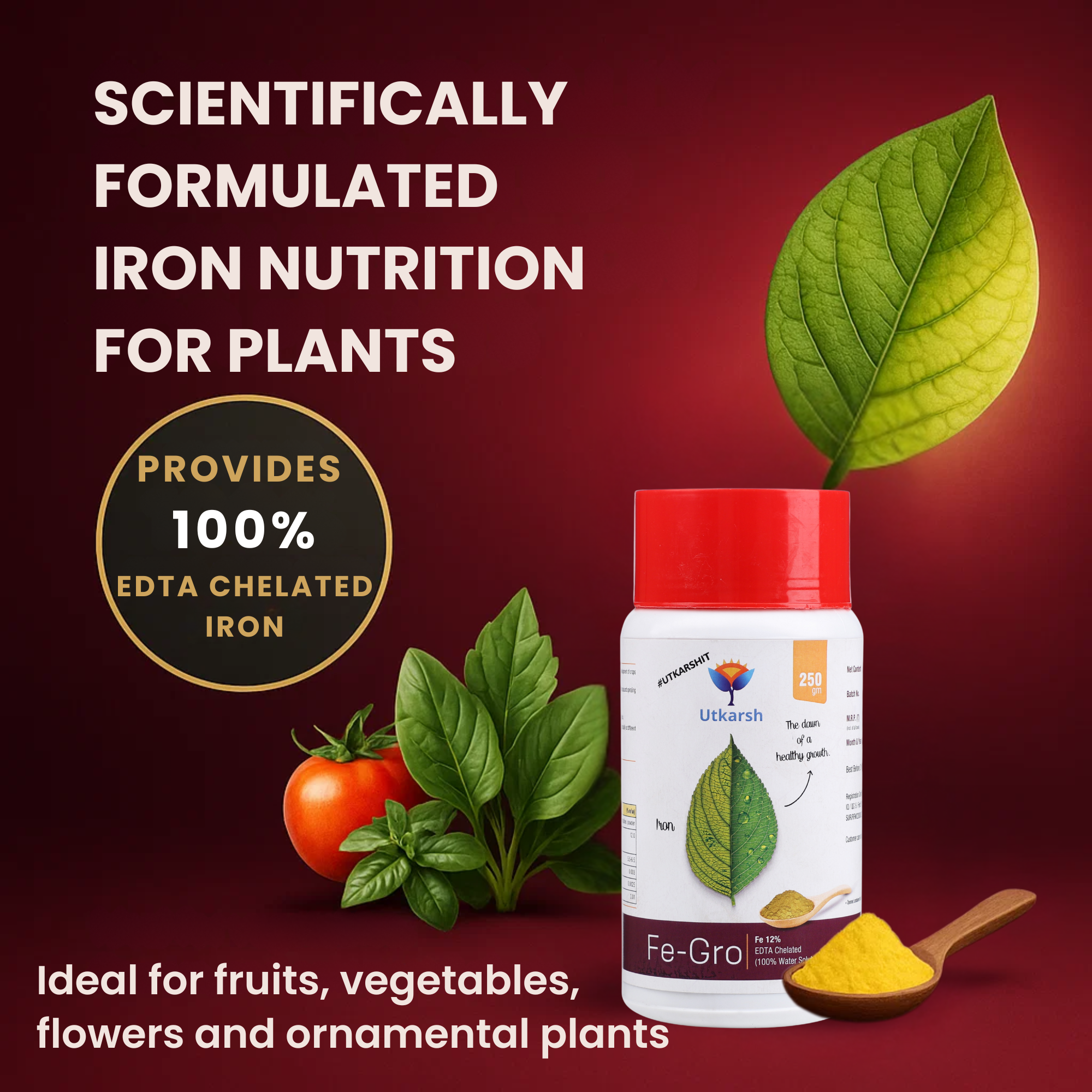 Iron 12% EDTA Chelated Fertilizer for Plants, 100% Water Soluble