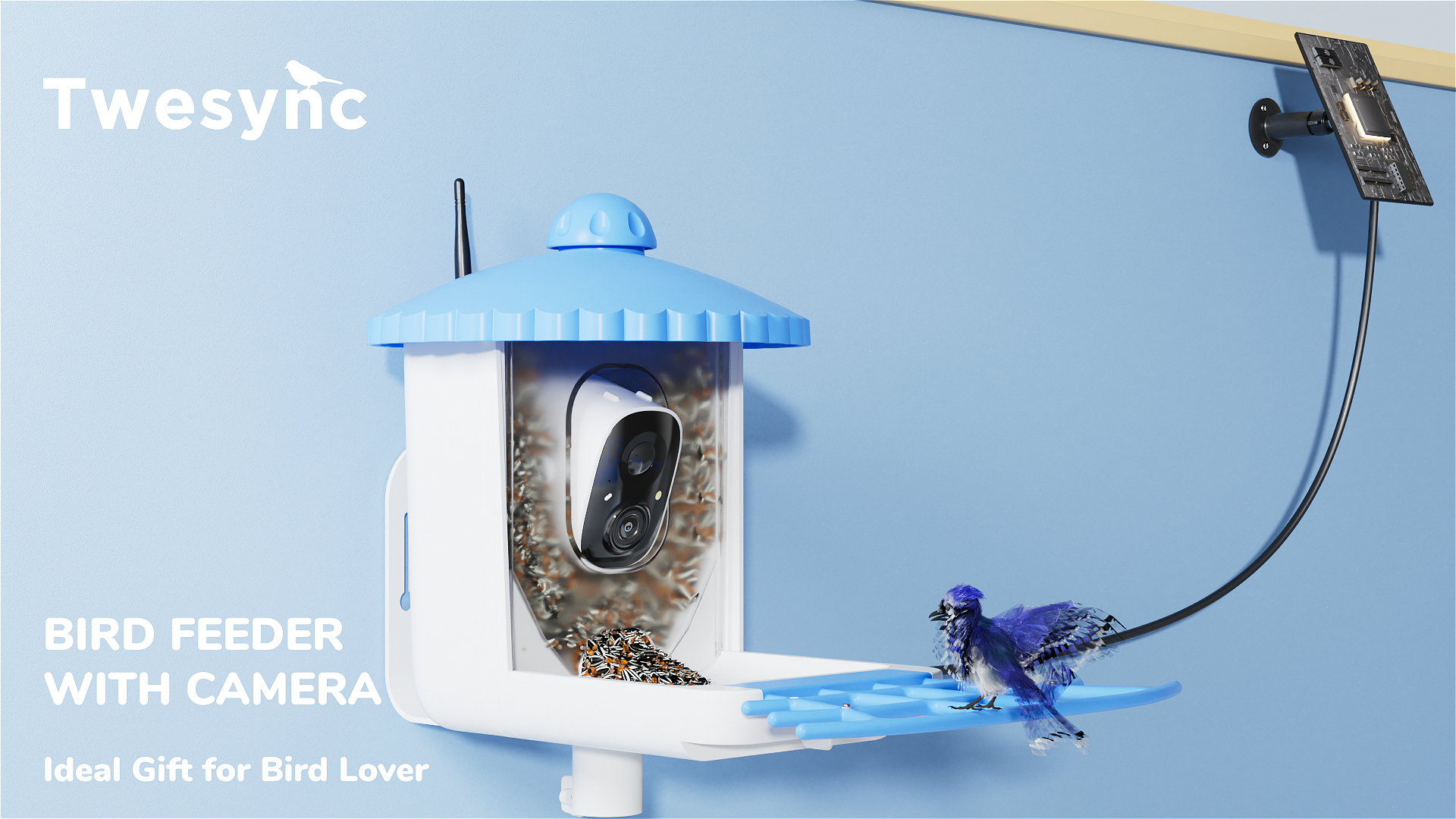 Amazon.com : Twesync Smart Bird Feeder with Camera Solar Powered