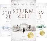  Die Sturmzeittrilogie (Reihe in 3 Bänden)