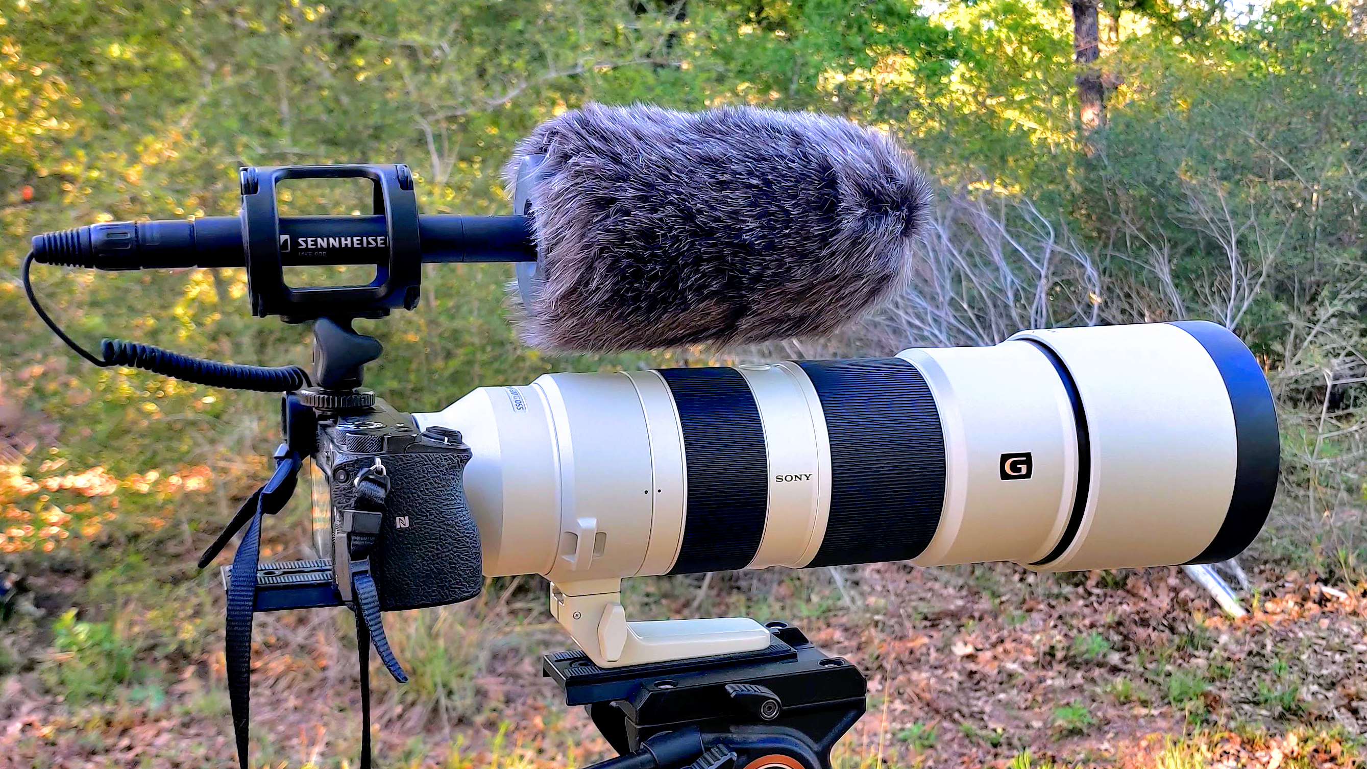 Watch Sennheiser MKE 600. Unboxing & Lots of Audio Samples! on