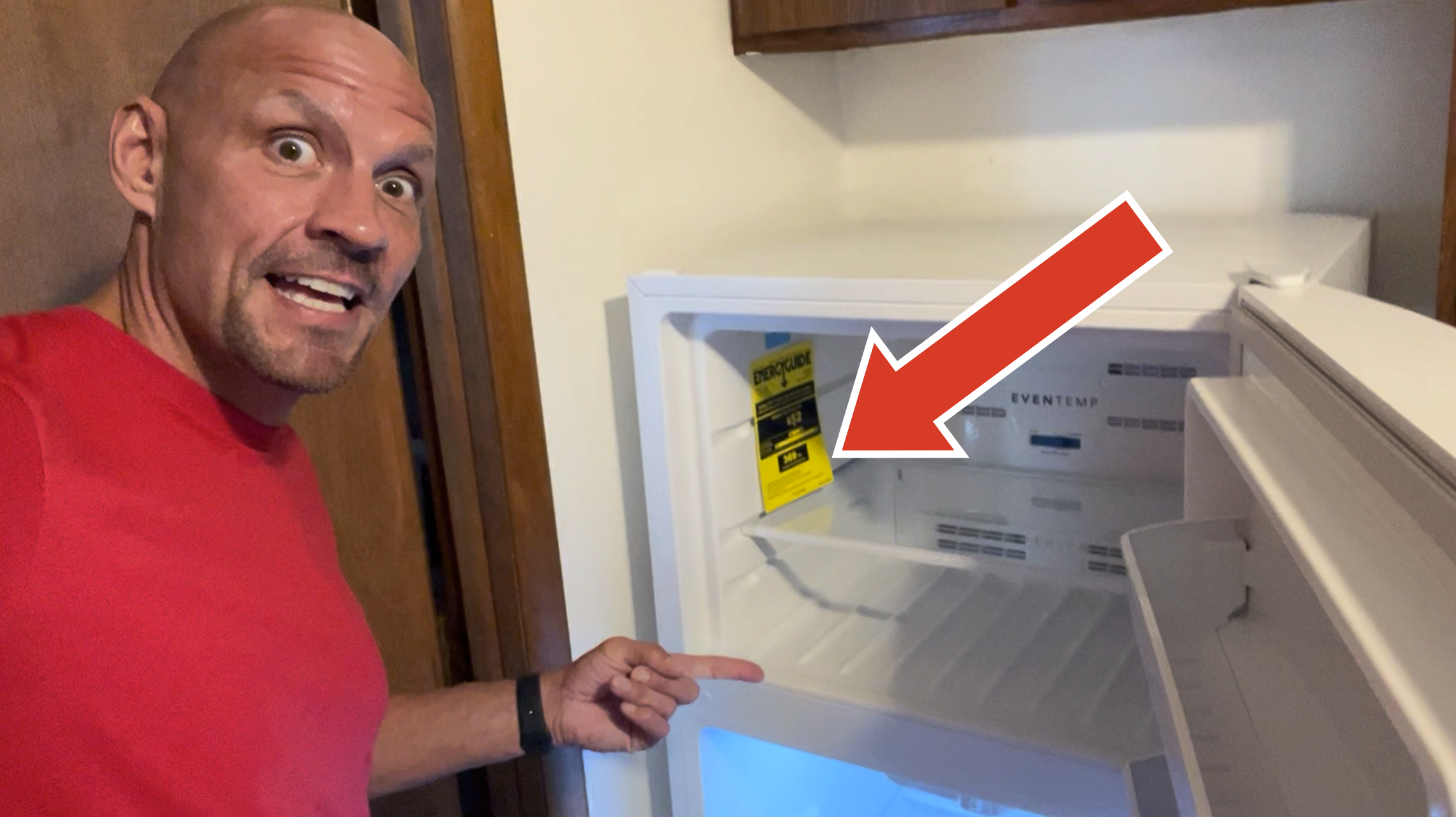 Everything To Know - The Frigidaire 13.9 cu ft Refrigerator