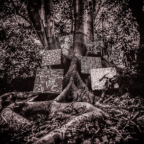 Perspective By Kamasi Washington On Amazon Music Amazon Com