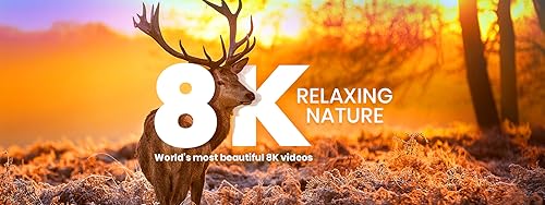 8K Landscapes