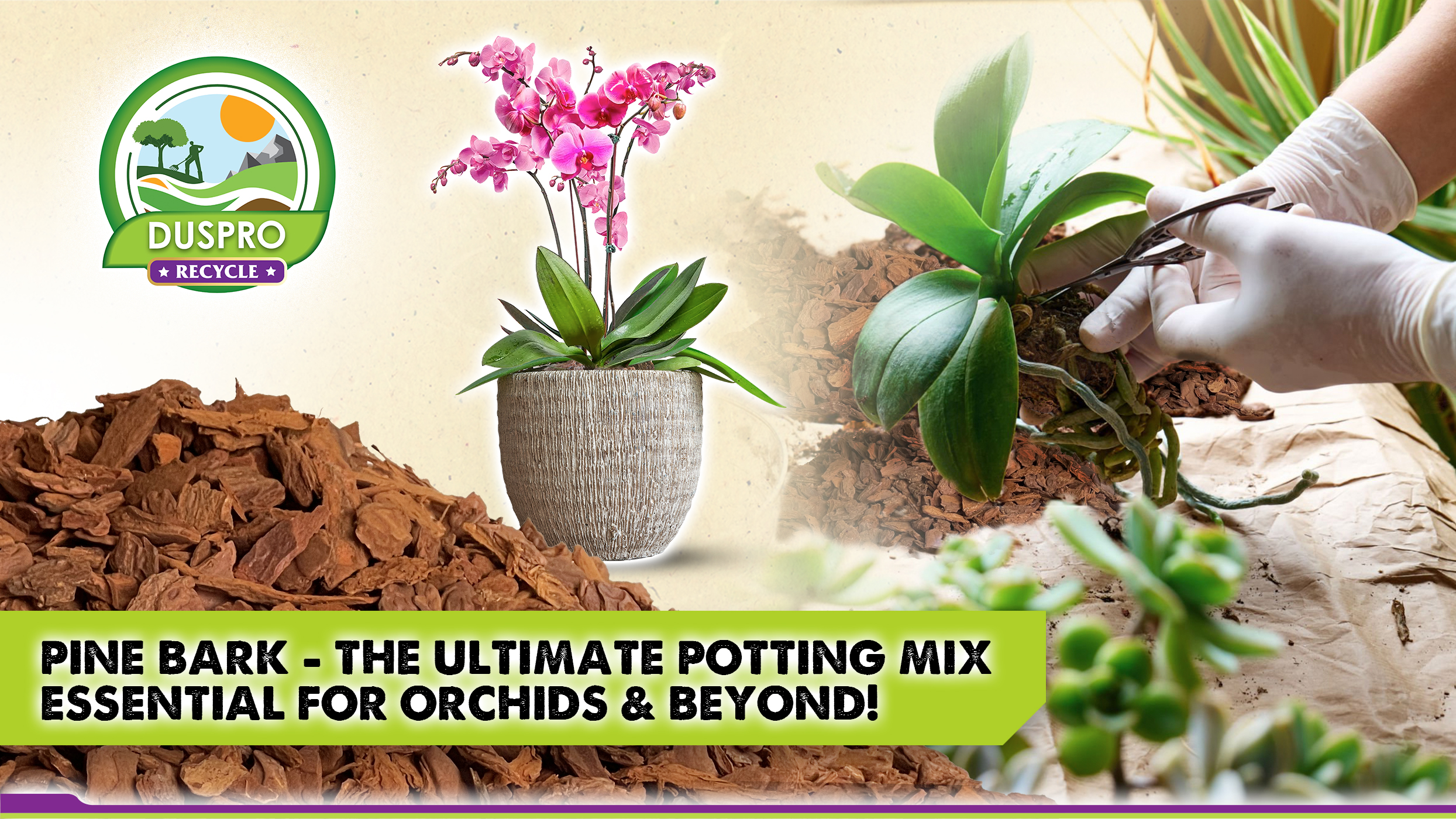 Amazon.com : DUSPRO Orchid Bark Bulk for Plants, Optimal Texture