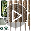 Moss-Pole-475-Inch-Monstera-Plant-Support-4-Packs-16-Inch-Plant-Stakes-for-Indoor-Plants-Coco-Coir-Moss-Pole-Sticks-for-Climbing-Potted-Live-Plants-Pothos-Philodendron-with-Garden-Ties