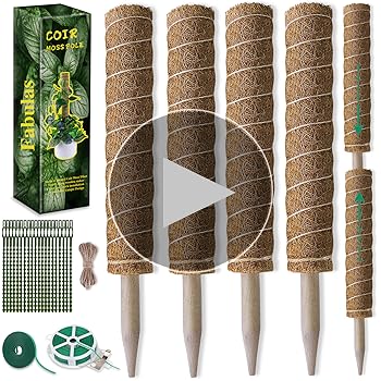 Amazon.com : Fabulas Moss Pole 47.5 Inch - Monstera Plant