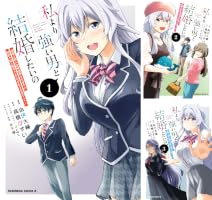 私より強い男と結婚したいの (全4巻) Kindle版