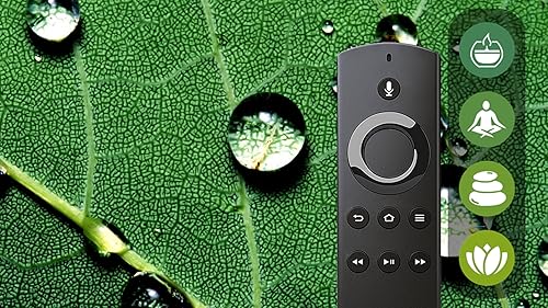 Som da Floresta de Chuva & Natureza: Som Relaxante da Chuva para Dormir e Meditar, Estudo, Sons da F