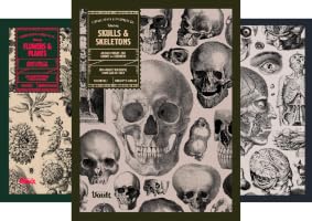 Amazon.co.jp: Ornamental Design: An Image Archive and Drawing