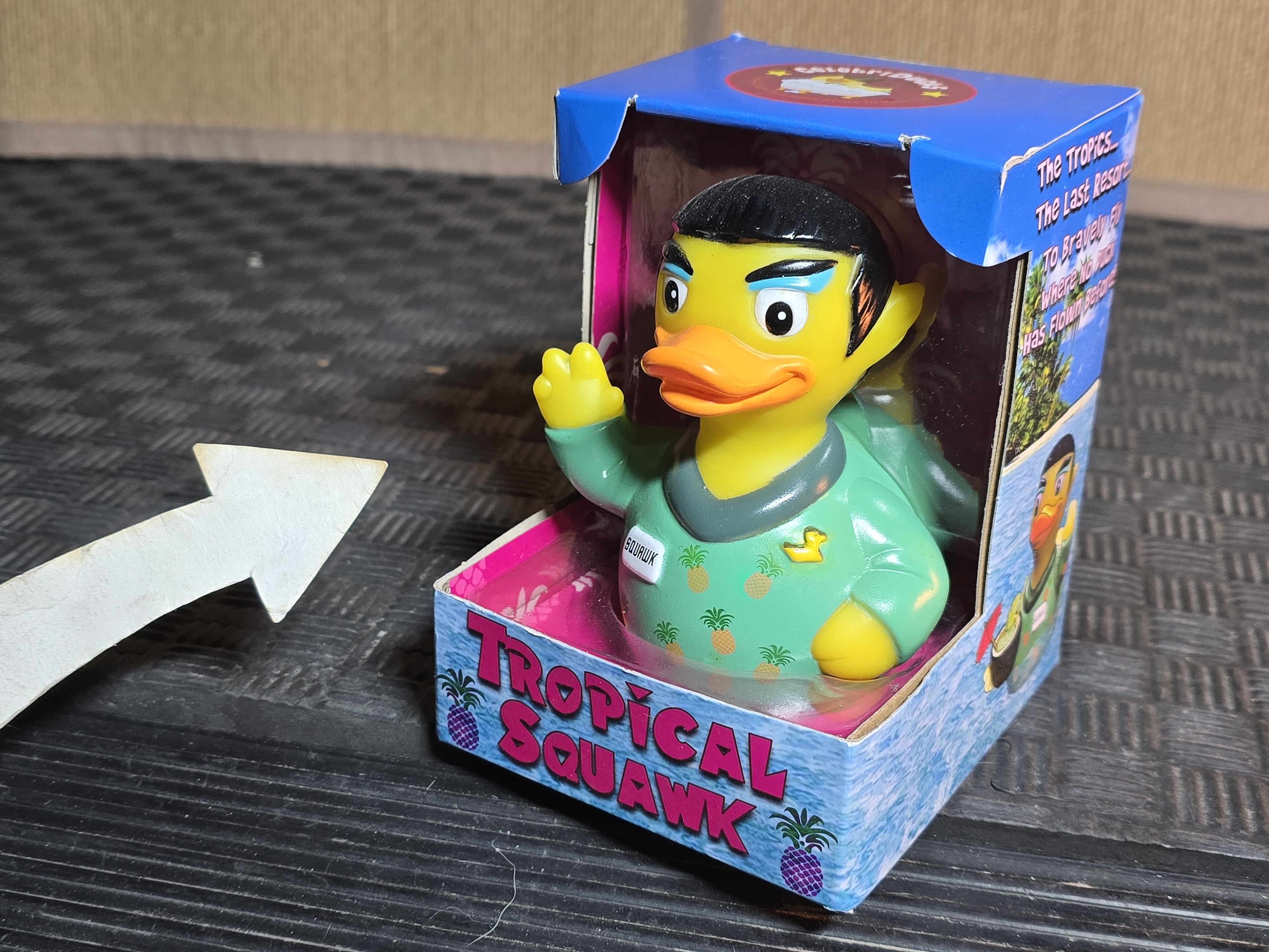 Amazon.com: Ducks in the Window: Celebriducks