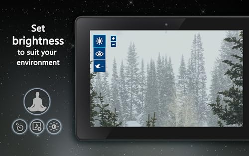 Snowy Pine Trees