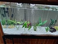 Review Image by Edmund