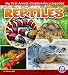 Reptiles (My First Animal Kingdom Encyclopedias)