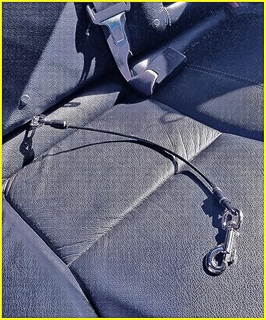 Last Leash Dog Car Seat Belt Tether - Chew-Proof Heavy Duty Car Seatbelt Restraint - 3 Sizes - Extra Durable to Prevent Chewing