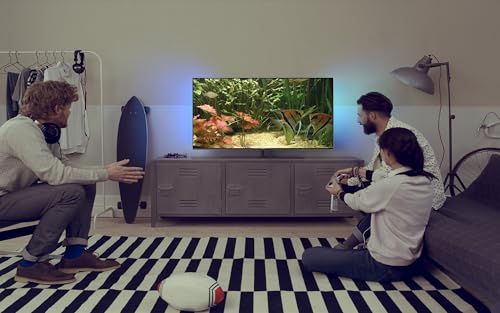 free couple fish aquarium HD - aproveite o romance de peixes em sua TV HDR 4K, TV 8K e dispositivos