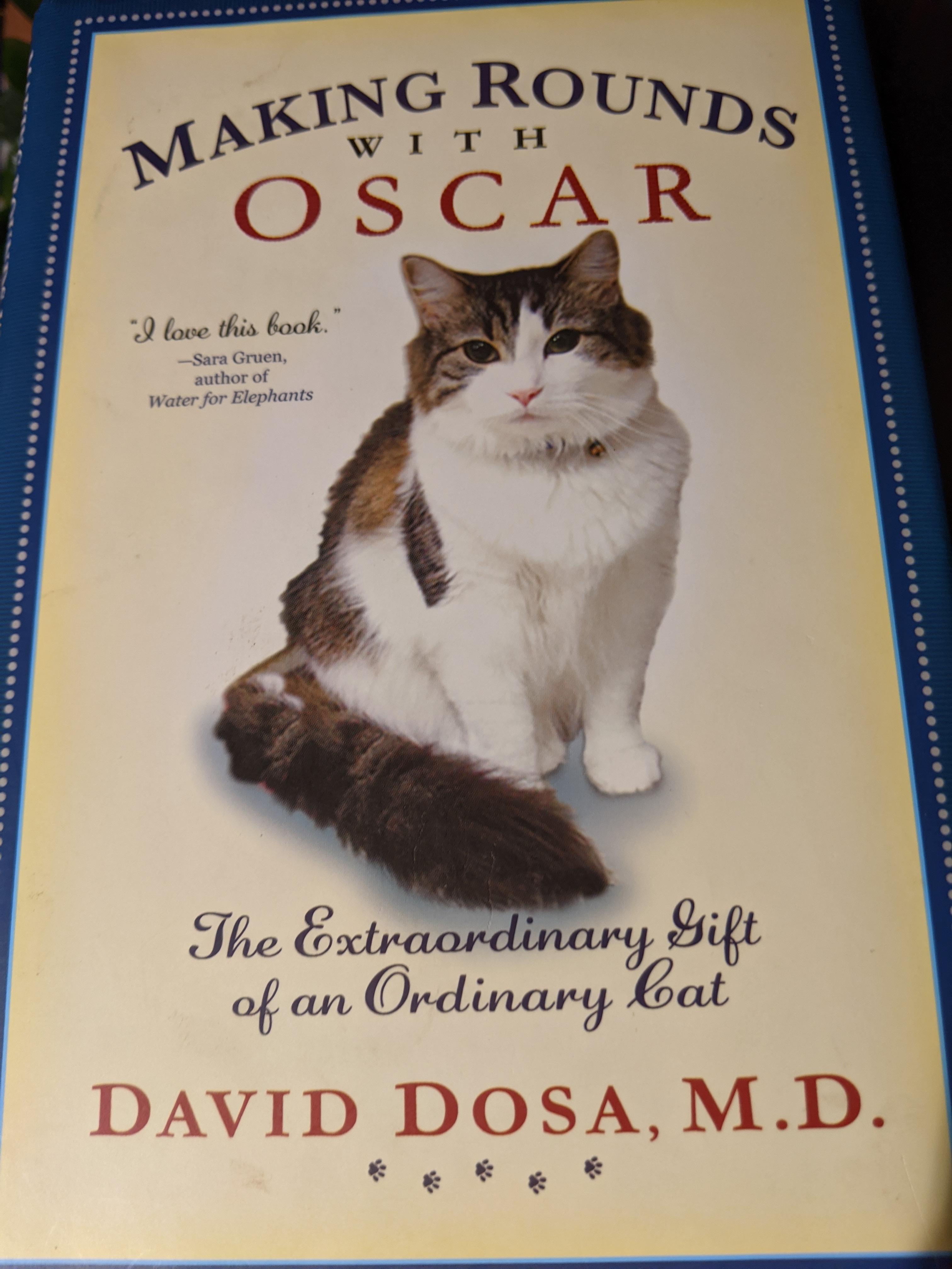 An extraordinary tale of an extraordinary cat