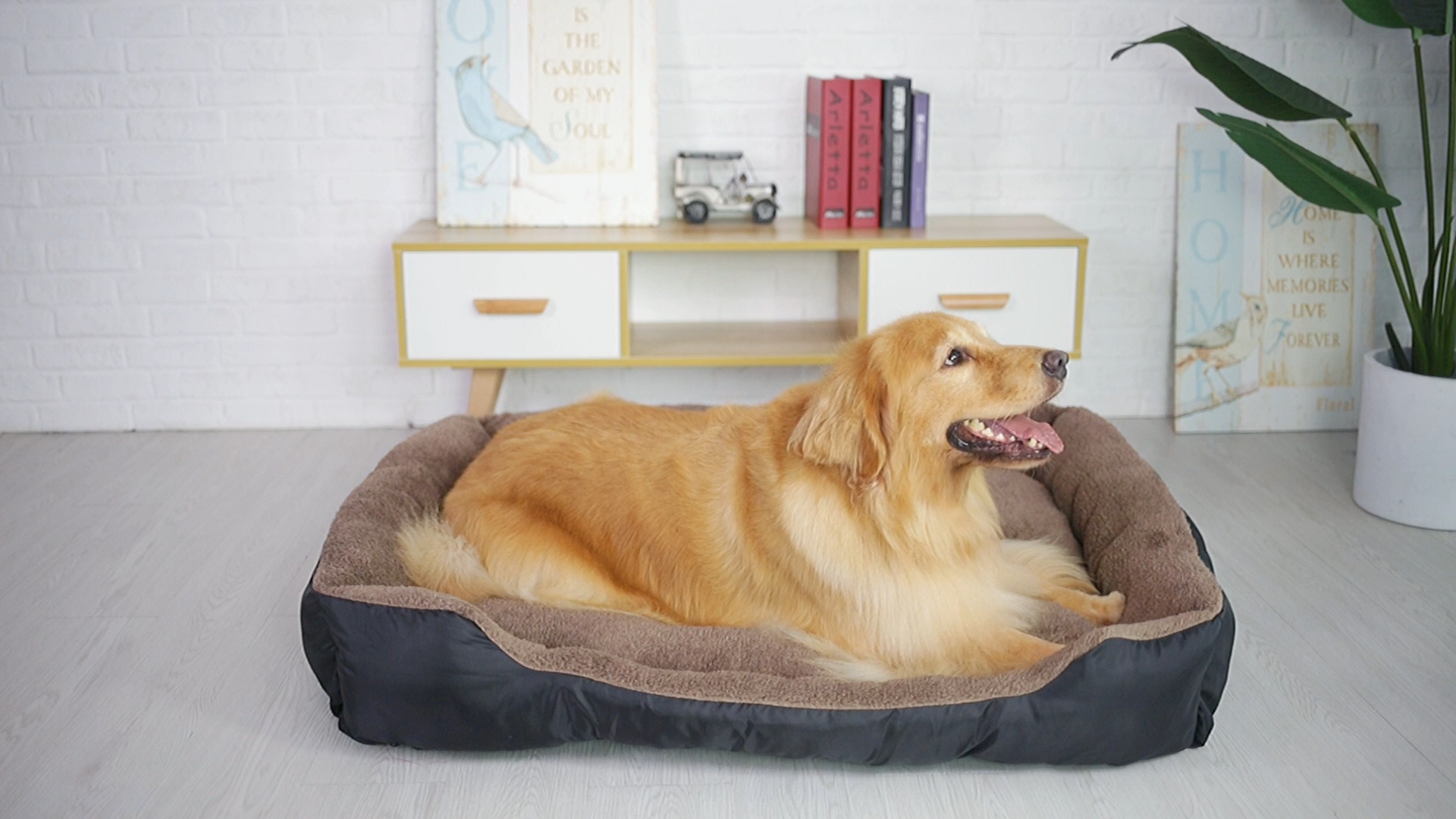minimalist dog bed