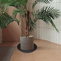 Vista 41 de 5 Packs Plant Saucer Pot Tray 6 8 10 12 14 16 19 20 Inch Plastic Flower Planter Saucers and Drip Trays for Indoors Outdoors, Heavy Durable Plant