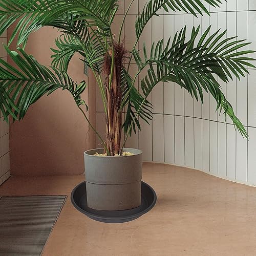 Miniatura 7 de Platillo Bandeja para Macetas de 6, 8, 10, 12, 14, 16, 19, 20 Pulgadas Platillos de Plástico para Macetas de Flores y Bandejas de Goteo para