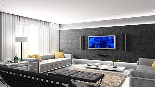 Blue Jelly Aquarium HD grátis - aproveite as belas medusas em sua TV HDR 4K, TV 8K e dispositivos de