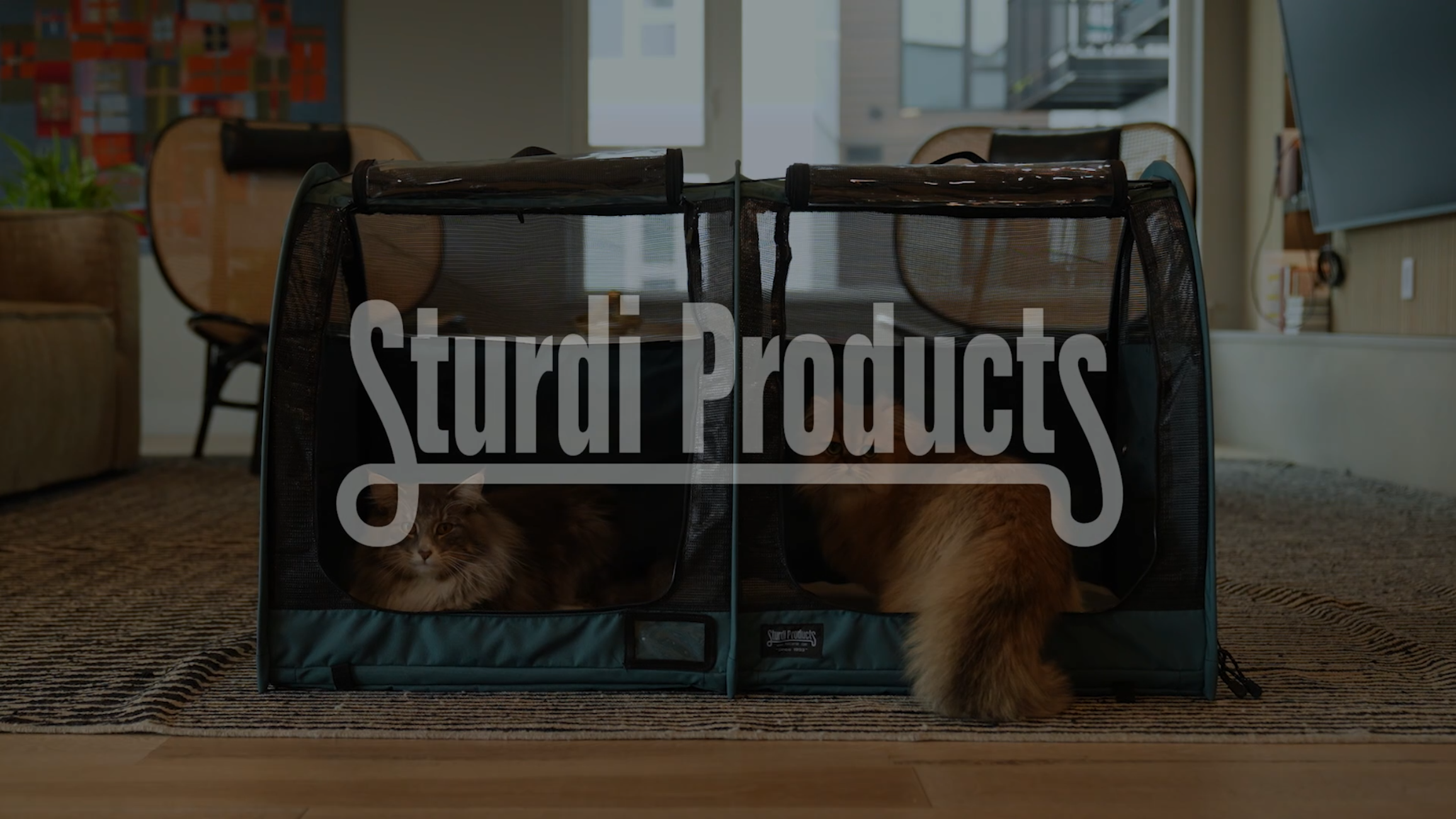 Amazon.com : STURDI Pop-Up Kennel Show Shelter Pet Travel Carrier
