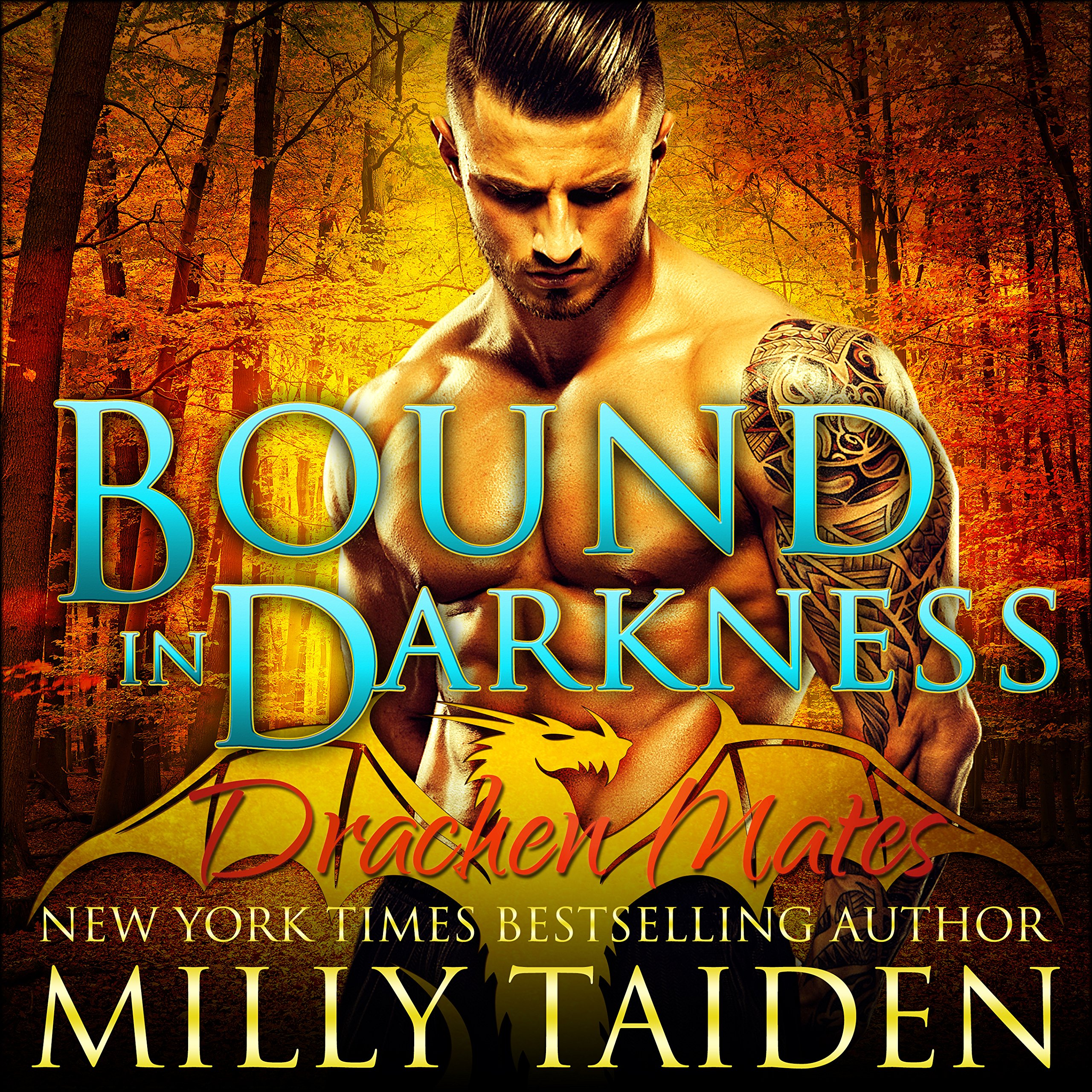 Cover art for Bound in Darkness