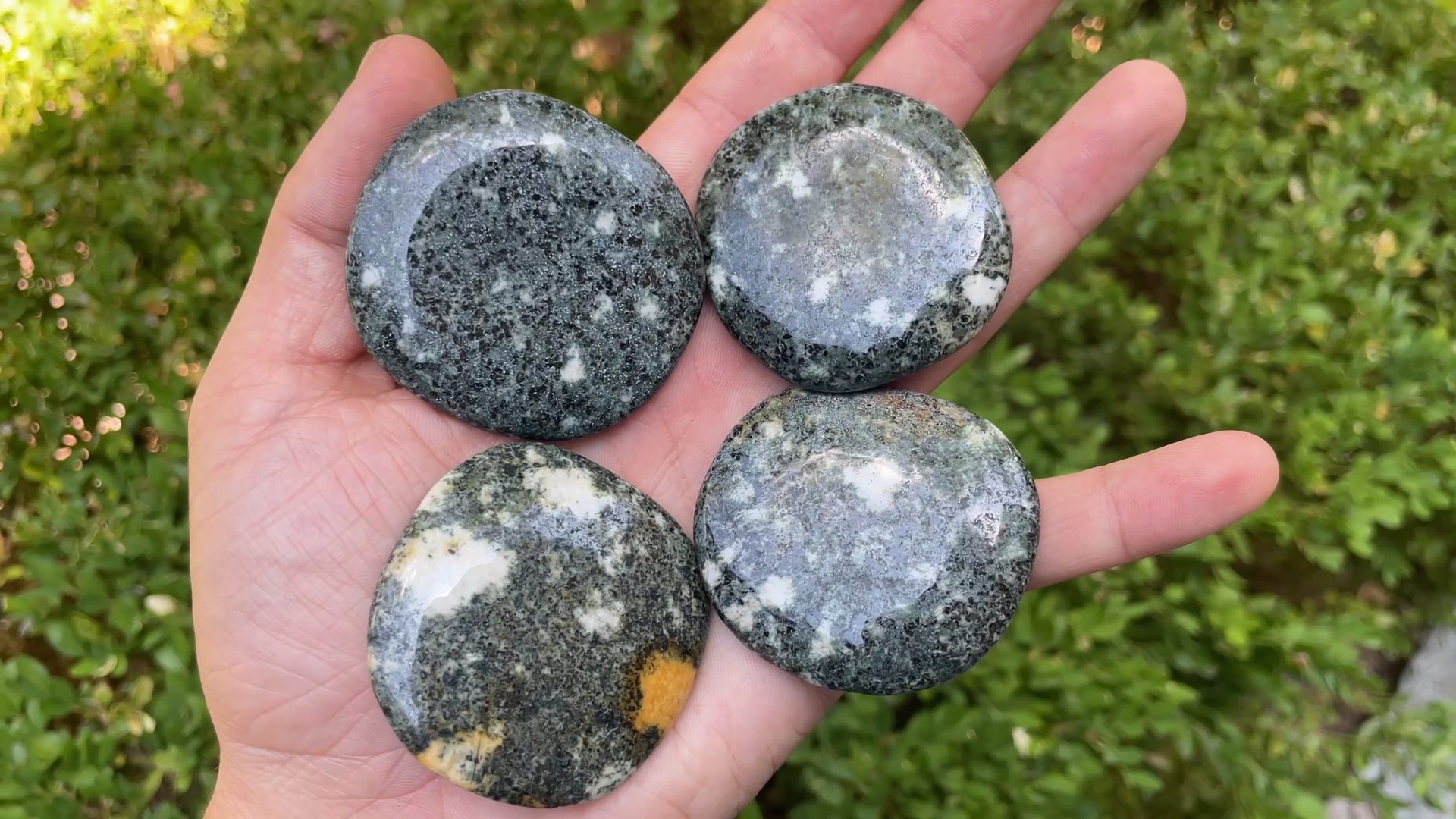 いこまる★PRECIOUS STONES PRINT BULOUSON Amazon.com: Starborn Preseli Bluestone (Stonehenge) Freeform