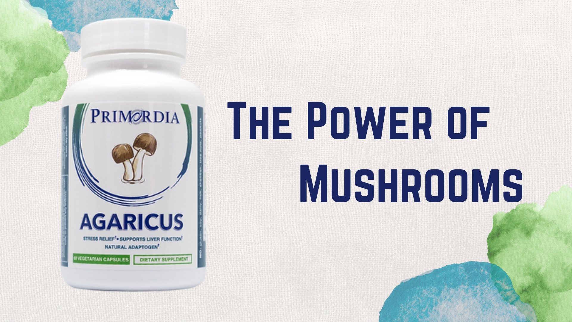 Amazon.com: Primordia Pure Agaricus Mushroom Supplement, 60 