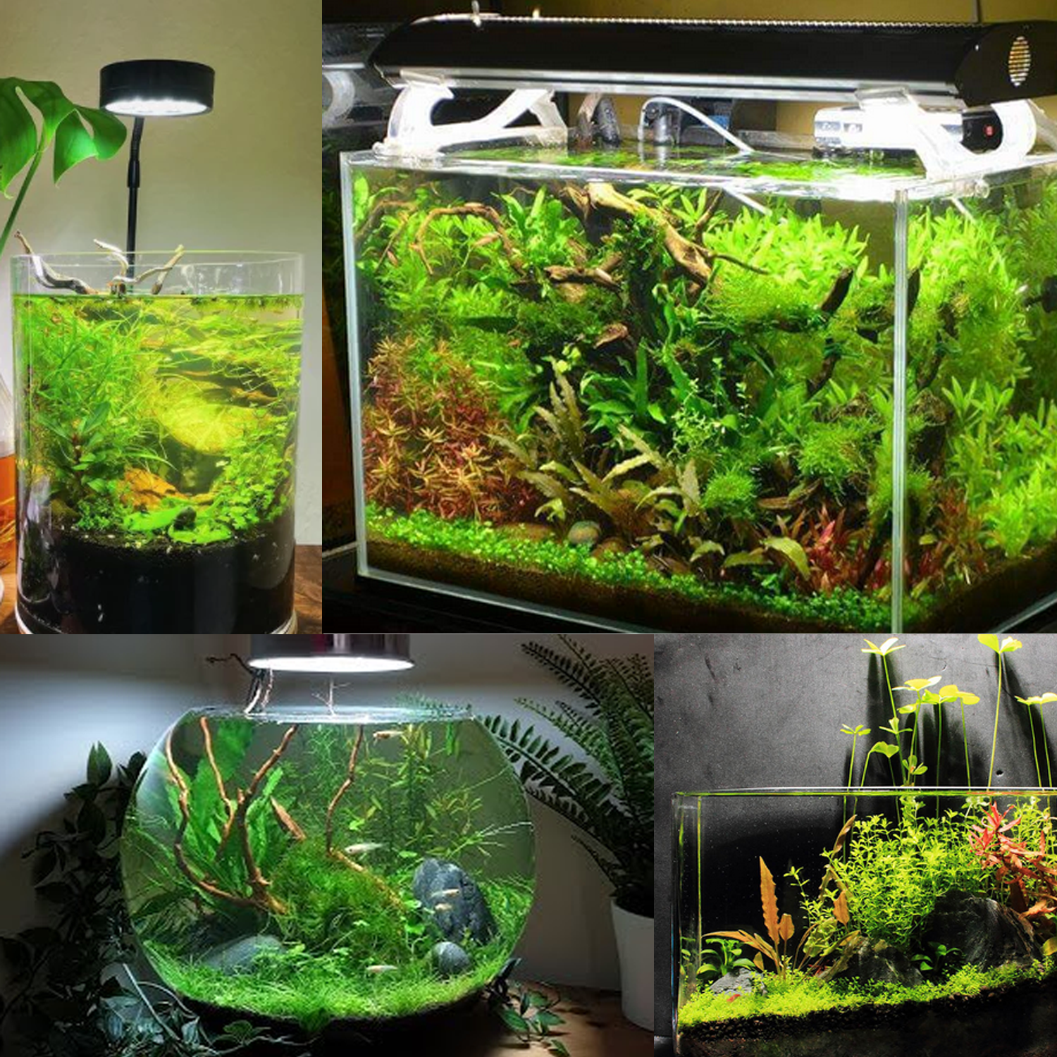 COLOURFUL AQUARIUM - Fish Tank Live Planted Aquarium Contro Soil 