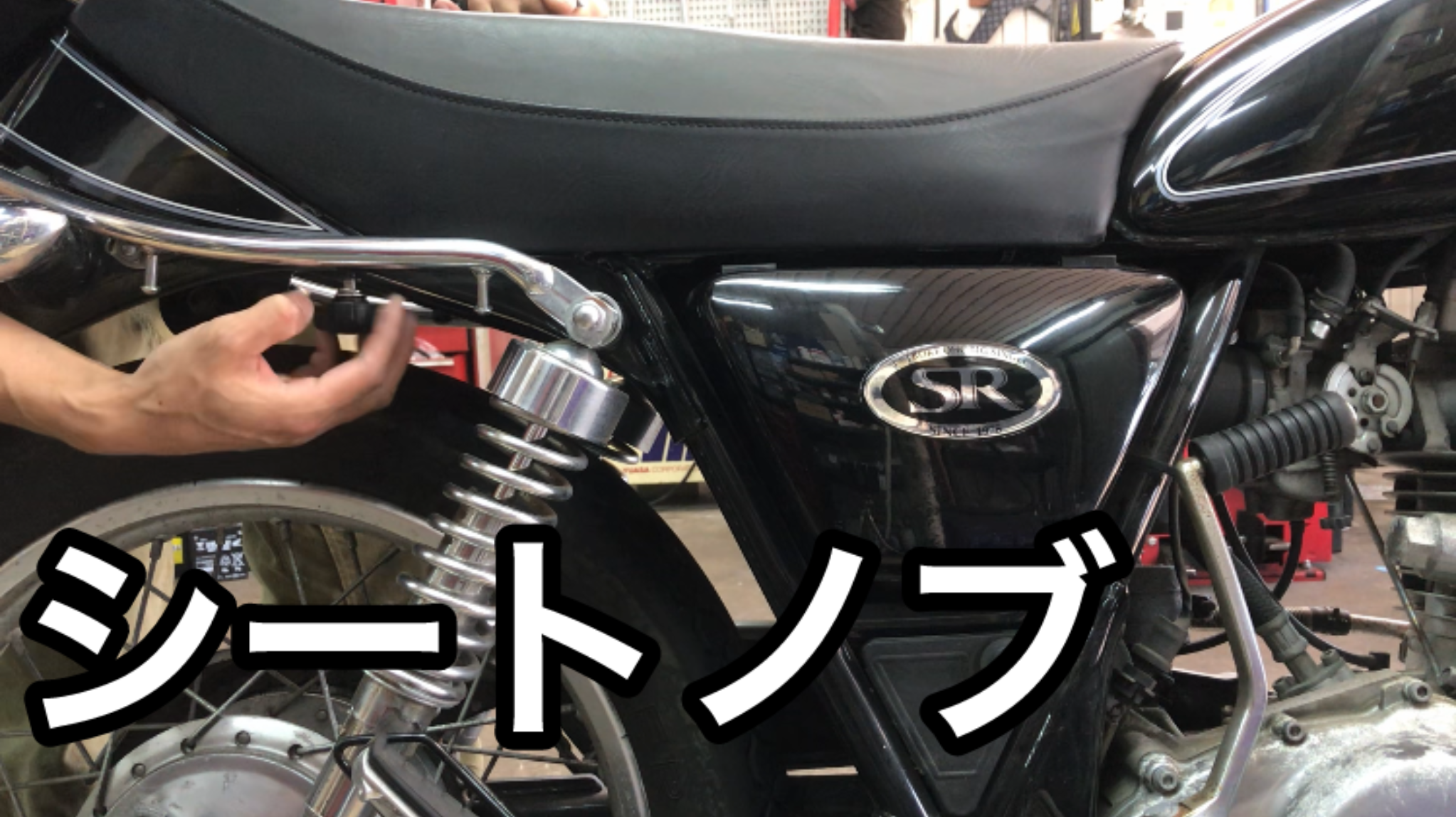 Amazon.co.jp: ステンレス製 シート固定ノブボルト ブラック SR400