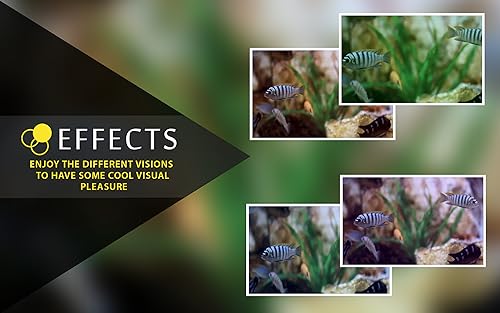 aquário de peixe branco grátis HD - decore seu quarto com um lindo aquário em sua TV HDR 4K, TV 8K e