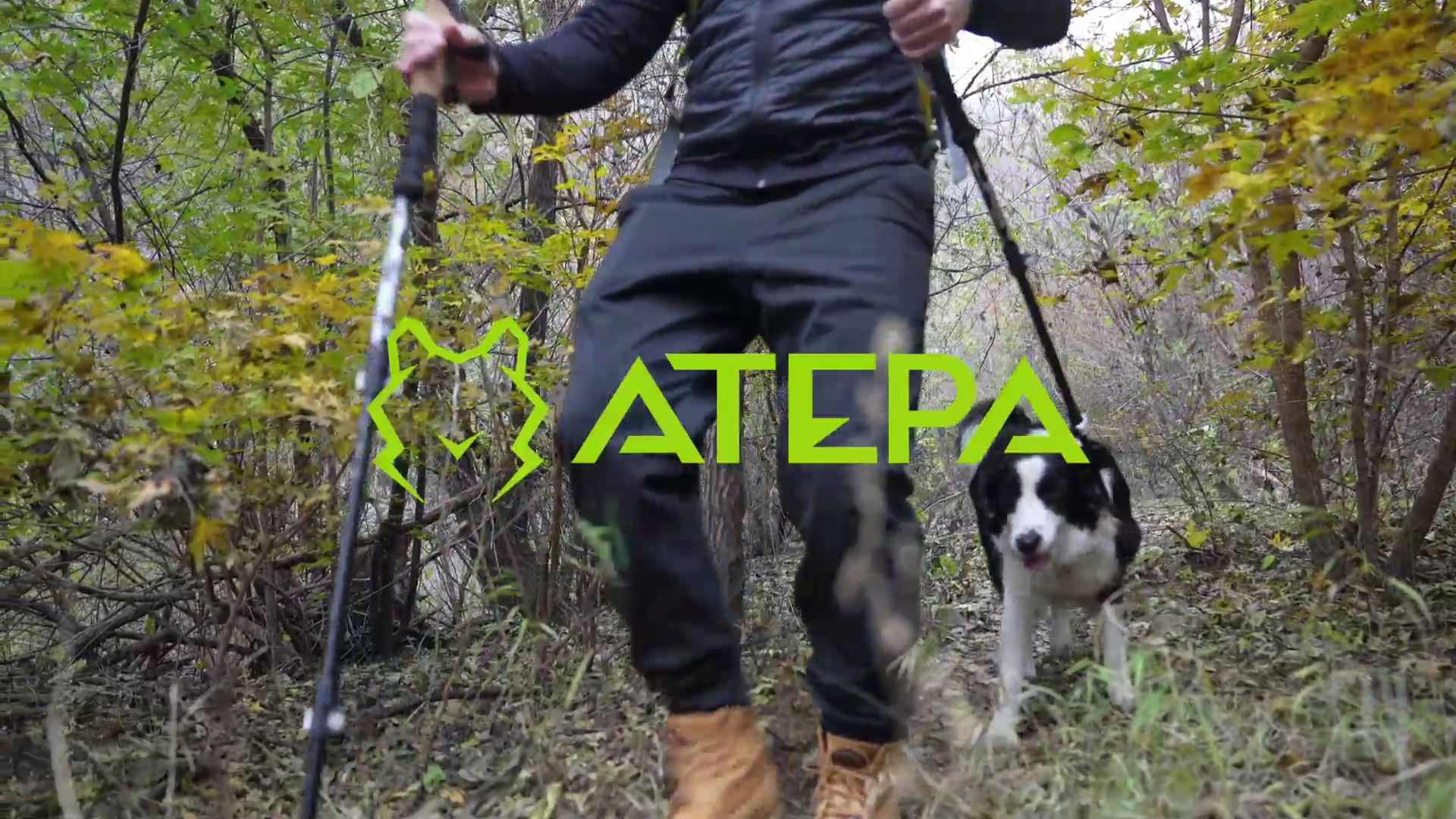 Amazon.co.jp: ATEPA キャンプ テント コンパクト 煙突穴 テント ソロ