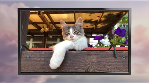 Musique apaisante pour chats TV - Relaxation et soulagement du stress pour animaux de compagnie – vue 5