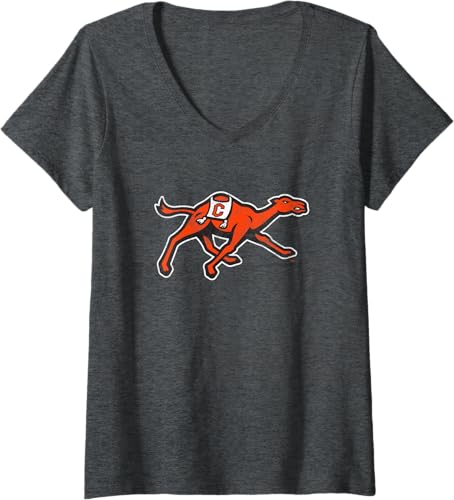 Fighting Camels - Camiseta con cuello en V, Gris