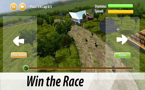 Equestrian: Horse Racing #TOP2