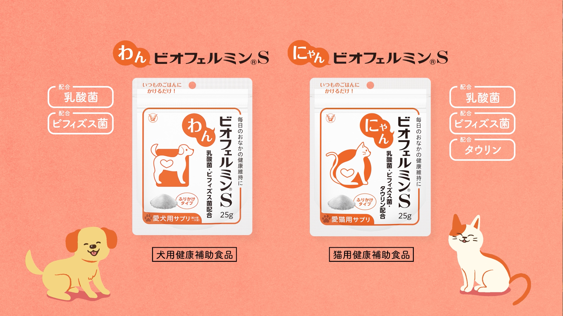 Amazon | にゃんビオフェルミンS 1袋【猫用健康補助食品】 | 猫 乳酸菌 Amazon | にゃんビオフェルミンS 1袋【猫用健康補助食品】 | 猫 乳酸菌