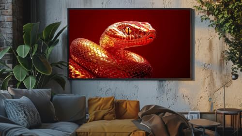 Musique d'ambiance relaxante - Gros plan sur un serpent mystérieux – vue 5