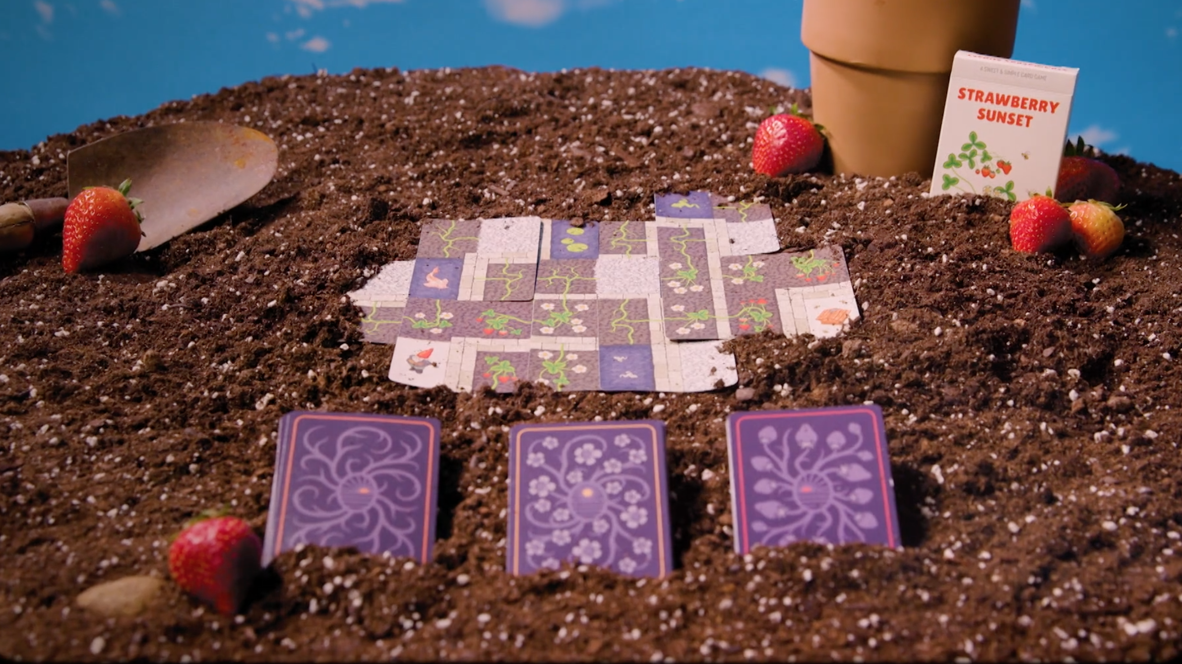 Amazon.com: Stellar Factory Strawberry Sunset: A Sweet & Simple